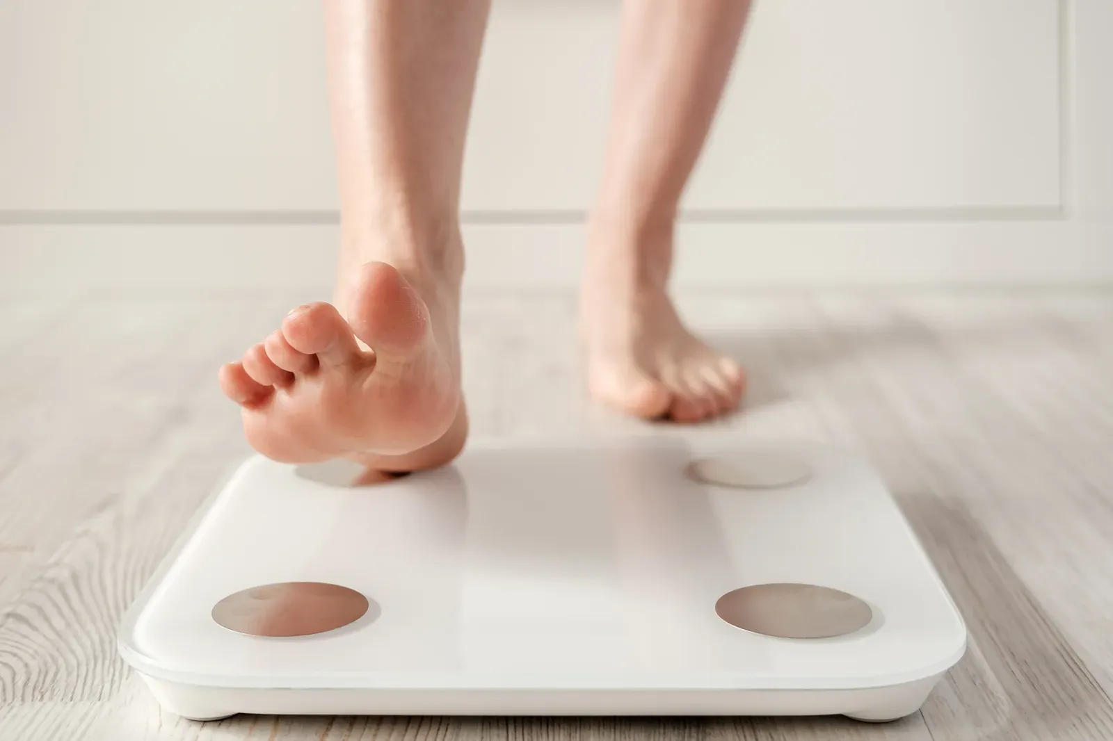A clinician-style body composition printout being explained across a table