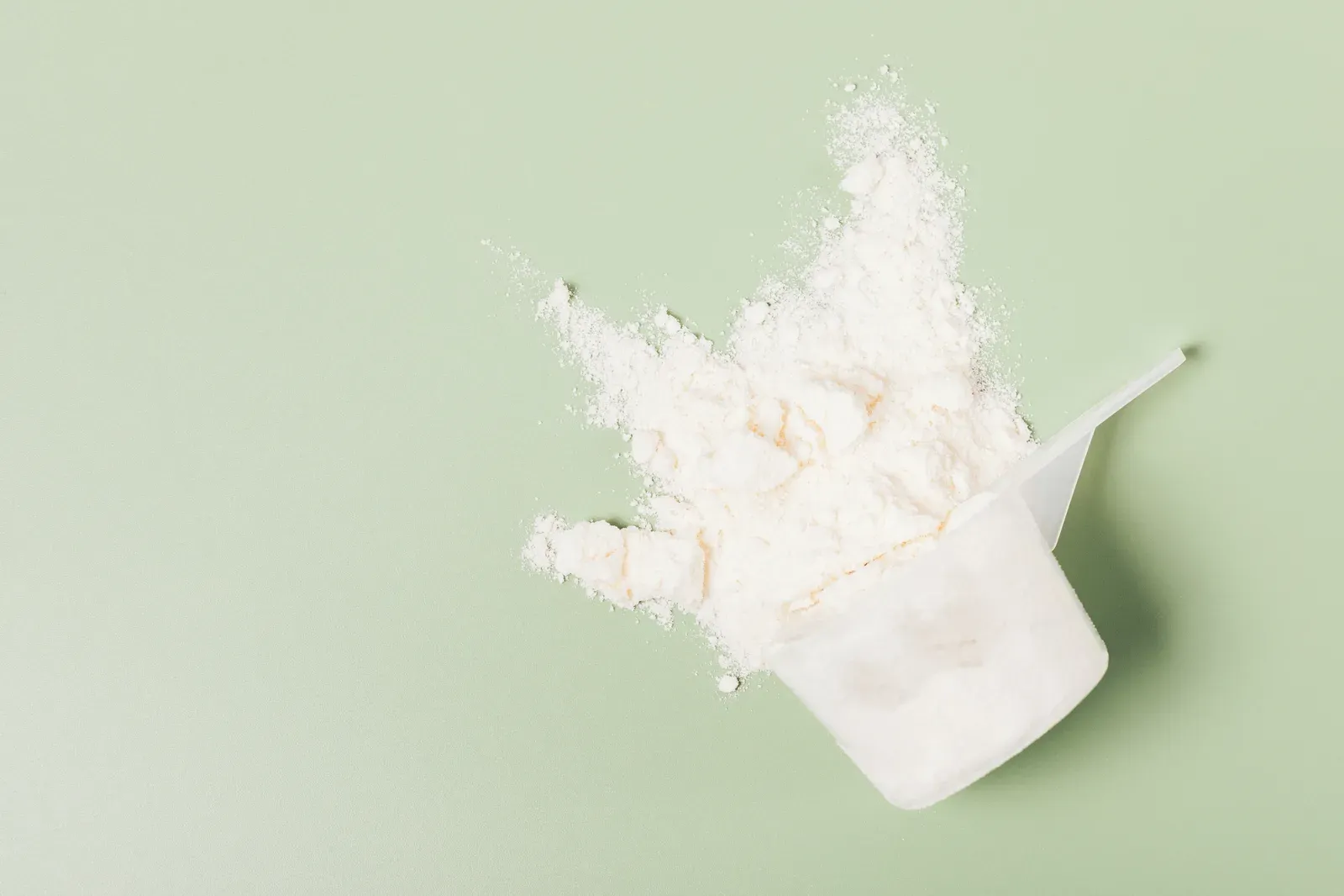 Whey protein powder scattered around a measuring scoop