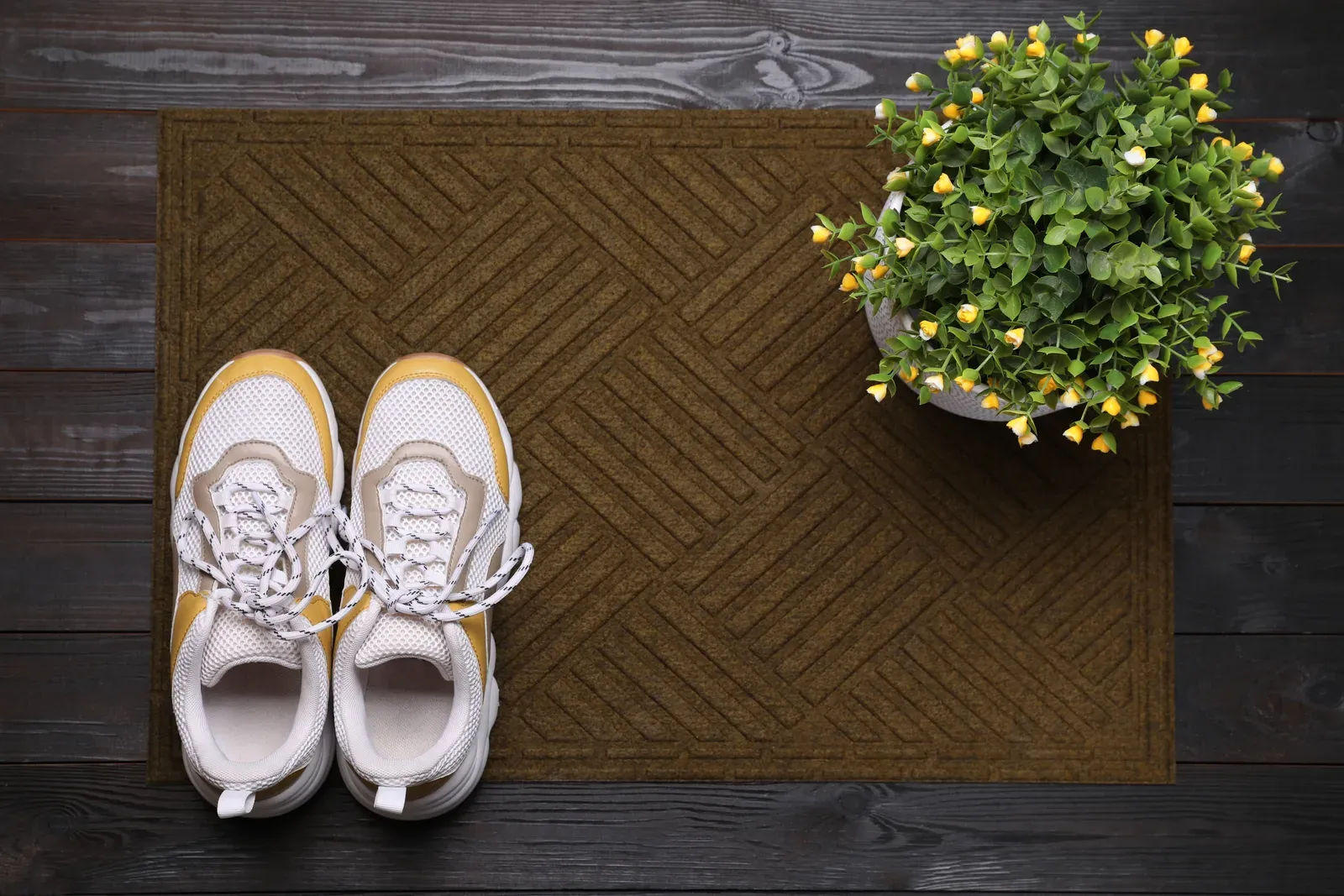 Running shoes waiting by a front door before a workout